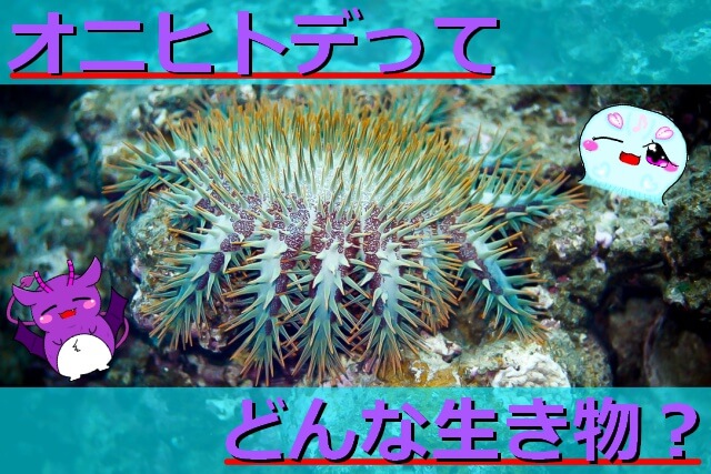 Thumbnail of post image 087